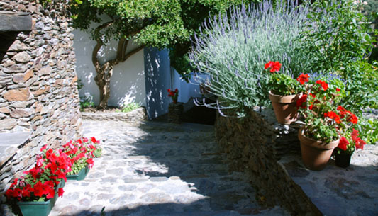 Contact us at Casa Ana