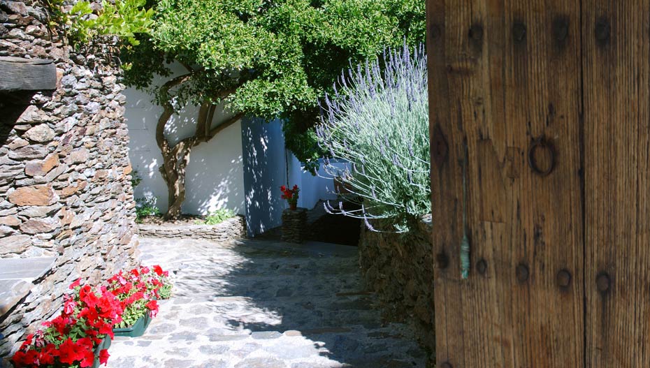 View of the house through doorway