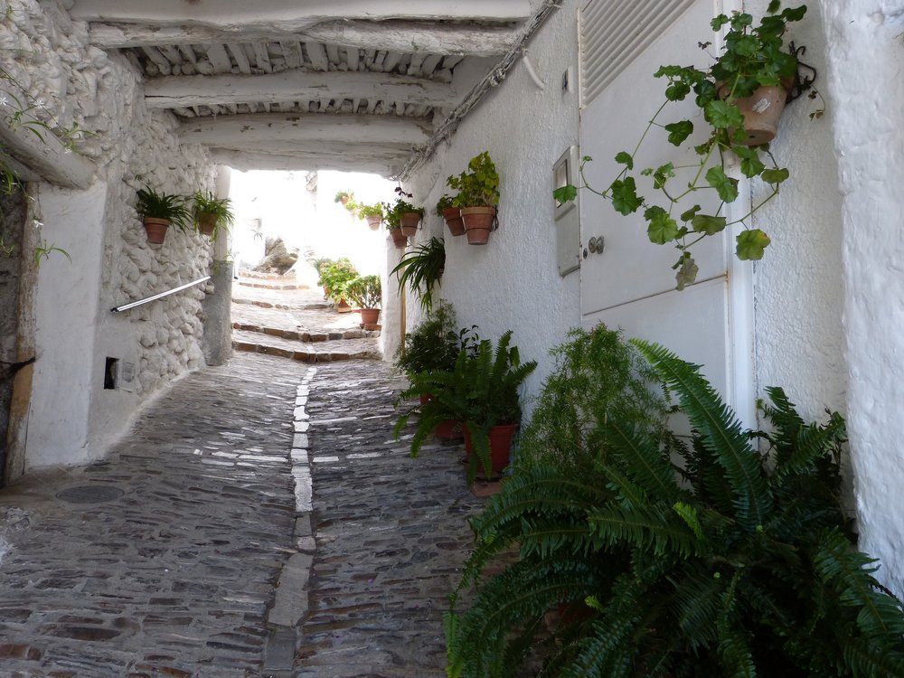 Alpujarra village street