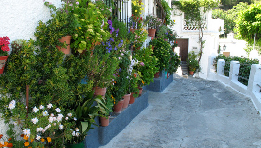 Alpujarran village with flowers