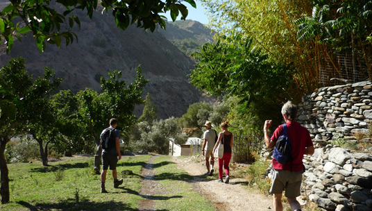 Walking in the countryside