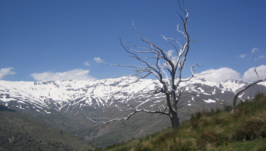Snows on Sierra Nevada