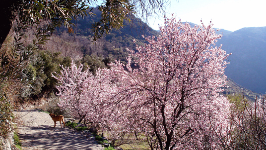 Walking from Casa Ana
